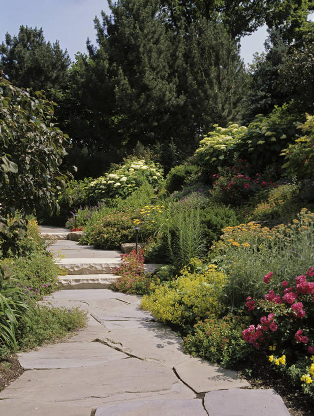 室外,幸福,骄傲,太阳,八仙花,日光,英格兰,花,树,粉色,黄色,红色,白色,夏天,绣球花,放松,季节,灌木,紫阳花,洋绣球,明亮,草绣球,斗球,七变化,粉团花,善变,西洋蓍草,斗蓬草,多年生植物,景观设计
