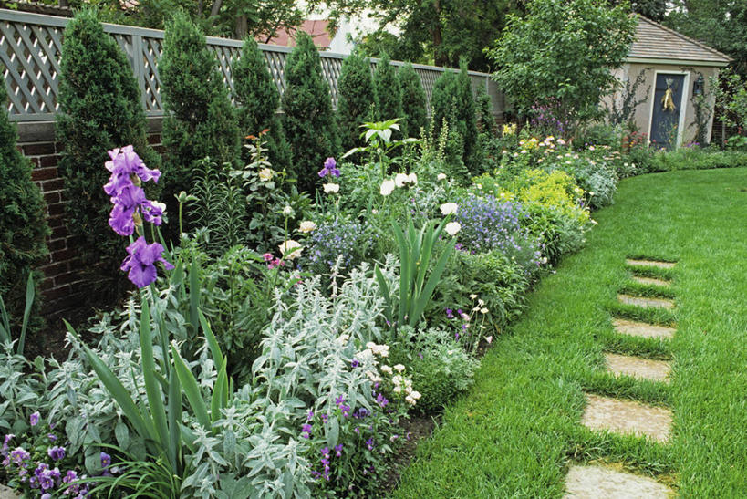 室外,草坪,盆栽,砖,墙,砖墙,花,棚,绿色,紫色,灌木,涂料,鸢尾,垫脚石,私密,三色紫罗兰,格子饼