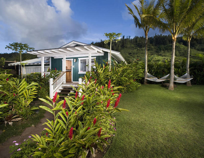 无人,家,竖图,室外,白天,节能,吊床,建筑,日光,美国,绿色,建造,北美,发展,当代,门廊