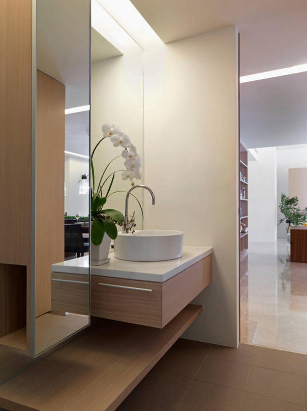 无人,家,竖图,室内,镜子,浴室,建筑,台湾,亚洲,现代,插花,建造,化妆室,台中