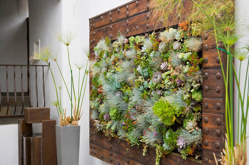 无人,横图,室外,白天,日光,美国,装饰,木制,墙,装饰物,生长,北美,加利福尼亚,好莱坞,装裱