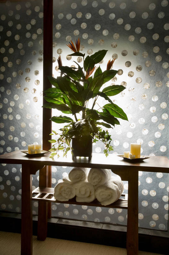 无人,家,竖图,照片,节能,建筑,蜡烛,美国,花,绿色,毛巾,建造,北美,种植园,发展,瓦胡岛,贮藏室