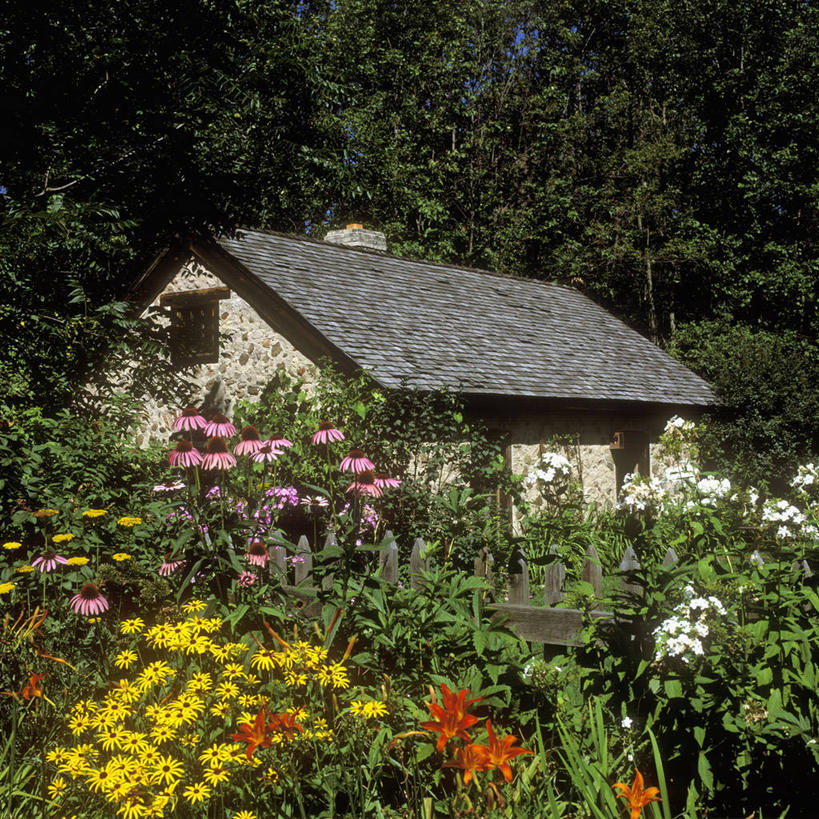 家,农场,百合花,木制,房屋,篱笆,野花,花,粉色,黄色,红色,白色,金花菊,简单,威斯康星,西洋蓍草,草夹竹桃,击剑,秋天,宿根福禄考,天蓝绣球,夏福禄,锥花福禄考