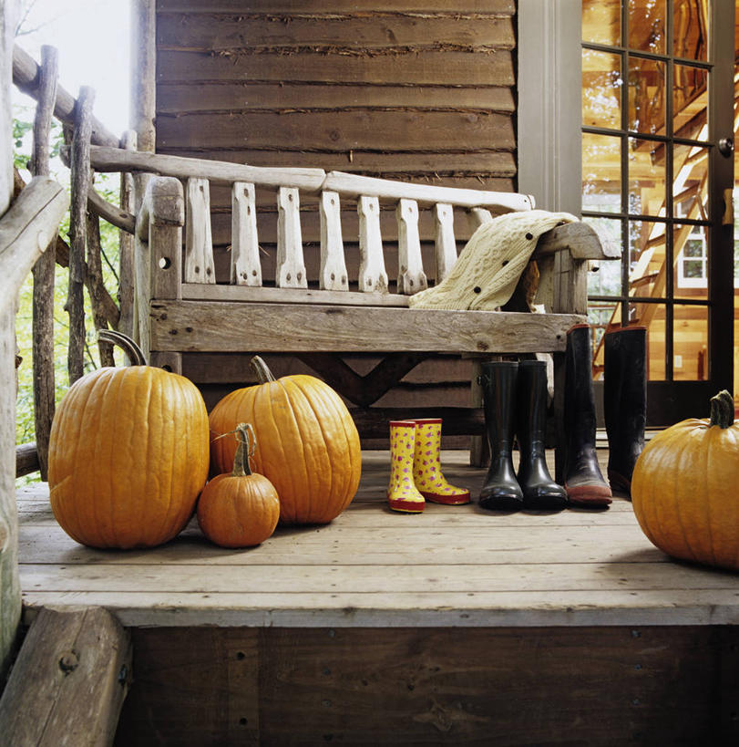 家庭,室外,分享,静物,长椅,正门,秋天,门廊