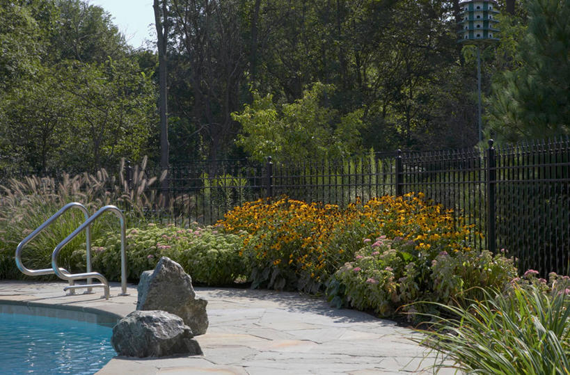 室外,植物,地形,篱笆,院子,草药,药草,笼子,鸟笼,中药,黑色,夏天,放松,景天,药材,中草药,铁艺,中药材,本草,石灰石,八宝,击剑,包菜还阳,活血三七,多年生植物,景观设计