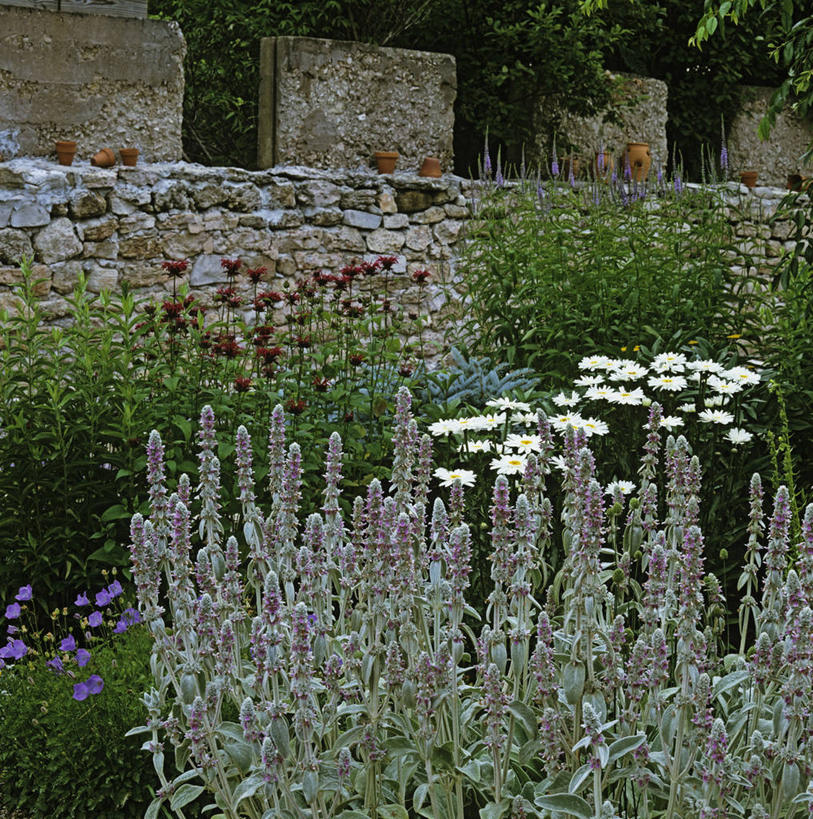 花园,花圃,花坛,墙,野花,石墙,雏菊,花,粉色,绿色,紫色,白色,夏天,宁静,粉底,创造力,粘土,小花园,多年生植物