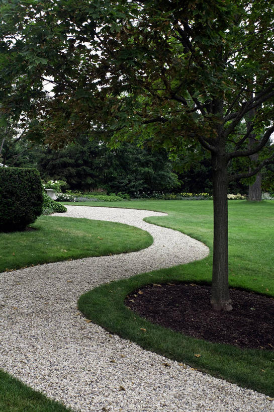 竖图,植物,虎耳草,草药,药草,中药,药材,中草药,坚持,中药材,本草,持续,黄杨木,石荷叶,老虎草,金线吊芙蓉,金丝荷叶