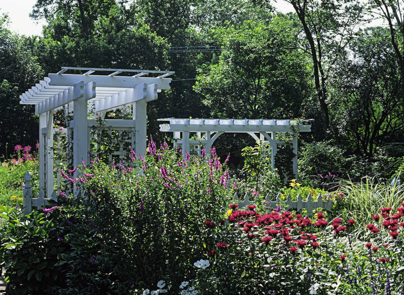 家,栏杆,幸福,别墅,大门,房屋,屋子,篱笆,公寓,围栏,浪漫,洋房,护栏,楼房,住宅,草,花,树,红色,绿色,紫色,白色,灌木,着色,格子饼,珍珠菜,击剑,爱,房子