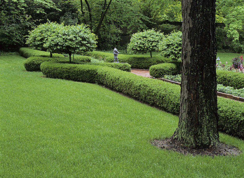 室外,水,喷泉,叶子,天使,圆形,砖,浪漫,树,红色,绿色,紫色,修指甲,灌木,宁静,舒适,罗马式,黄杨木,景观设计