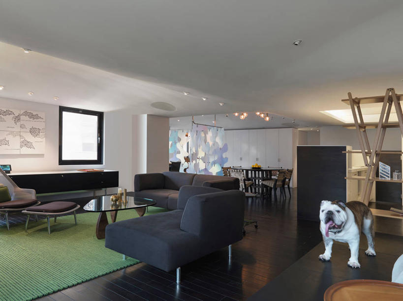 无人,家,横图,室内,白天,建材,地板,地毯,建筑,纺织品,台湾,日光,亚洲,装饰,材料,毛毯,木板,木材,毯子,光,公寓,褐色,地面,现代,木地板,木柴,纺织,绿色,垫子,温暖,建造,木料,华丽,修饰,点缀,起居室,建筑材料,英格兰斗牛犬,台北,衬托,美观,雅致,雅观,硬木,当代