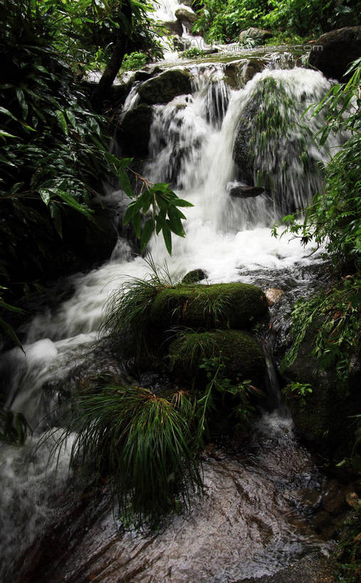无人,竖图,俯视,室外,白天,旅游,度假,草地,美景,瀑布,山,山脉,水,植物,井冈山,中国,亚洲,阴影,飞溅,溅,光线,液体,影子,景观,山峰,水滴,水花,山峦,娱乐,江西,水珠,草,绿色,阳光,自然,群山,享受,休闲,景色,放松,喷洒,自然风光,东亚,江西省,中华人民共和国,华东地区,赣,革命,吉安,吉安市,革命根据地,跌水,彩图,高角度拍摄,bjzqp1