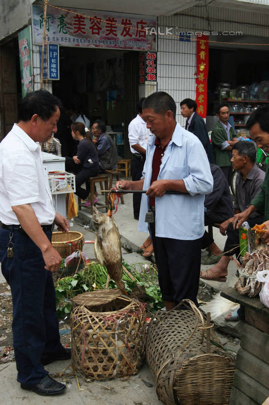 东方人,家,站,坐,举,竖图,室外,白天,仰视,旅游,度假,美景,鸟,井冈山,中国,亚洲,许多,握,鸟类,鸭,标志,文字,字符,房屋,屋子,景观,许多人,拿,拿着,注视,黄种人,娱乐,标识,江西,楼房,家禽,住宅,自然,动物,观察,看,托,站着,一群人,享受,休闲,汉字,景色,放松,握着,牲畜,观看,察看,关注,市集,中文,自然风光,销售,贩卖,东亚,江西省,中华人民共和国,华东地区,国文,华文,赣,革命,吉安,吉安市,阛阓,墟市,革命根据地,亚洲人,举起,举手,举着,向上举,向上伸,向上托,站立,坐着,彩图,低角度拍摄,全身,房子,bjzqp1
