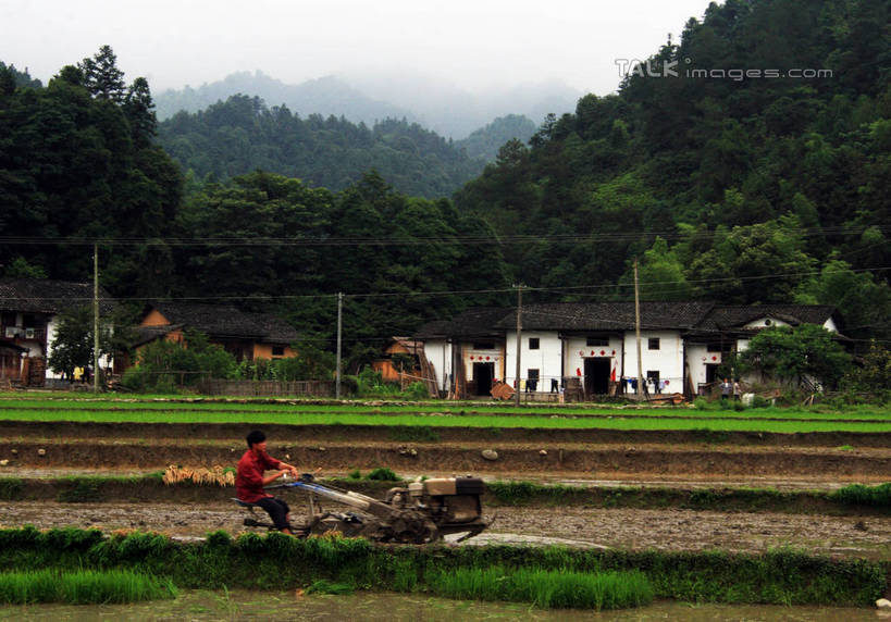 东方人,一个人,农民,家,坐,横图,室外,白天,侧面,旅游,度假,农业,草地,美景,山,树林,植物,汽车,井冈山,中国,亚洲,仅一个男性,仅一个人,许多,古老,电力,电线,电线杆,线,房屋,屋子,耕田,景观,山峰,电能,山峦,线路,黄种人,娱乐,江西,楼房,住宅,车,草,树,树木,仅一个年轻男性,蓝色,绿色,蓝天,天空,自然,交通工具,天,驾驶,行驶,享受,休闲,机械,景色,放松,生长,晴朗,成长,电,操纵,电源,控制,自然风光,载具,拖拉机,能量,种田,东亚,操控,江西省,万里无云,中华人民共和国,华东地区,把持,赣,革命,吉安,吉安市,农人,交通运输,农用机械,革命根据地,男人,男性,年轻男性,亚洲人,晴空,晴空万里,农夫,乡下人,庄稼人,坐着,彩图,全身,房子,bjzqp1