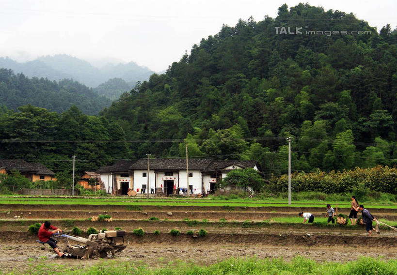 东方人,农民,家,农田,横图,室外,白天,正面,旅游,度假,农业,庄稼,农作物,美景,山,树林,植物,汽车,井冈山,中国,亚洲,许多,古老,电力,电线,电线杆,线,房屋,屋子,耕田,景观,山峰,电能,山峦,许多人,线路,黄种人,娱乐,江西,楼房,住宅,车,树,树木,蓝色,绿色,蓝天,天空,自然,交通工具,天,一群人,享受,休闲,机械,景色,放松,生长,晴朗,成长,电,电源,自然风光,载具,拖拉机,能量,种田,东亚,江西省,万里无云,中华人民共和国,华东地区,赣,革命,吉安,吉安市,农人,交通运输,农用机械,革命根据地,亚洲人,晴空,晴空万里,农夫,乡下人,庄稼人,彩图,全身,耕地,庄稼田,房子,bjzqp1
