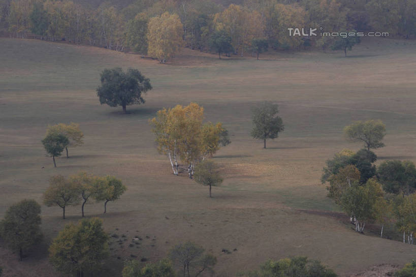 无人,横图,俯视,室外,白天,旅游,度假,草地,草原,草坪,美景,植物,坝上,中国,亚洲,阴影,光线,影子,景观,旷野,辽阔,娱乐,草,树,树木,绿色,阳光,自然,享受,休闲,广阔,景色,放松,生长,成长,自然风光,原野,东亚,中华人民共和国,华北地区,河北,河北省,冀,承德,承德市,广大,广宽,空阔,彩图,高角度拍摄,丰宁满族自治县,京北第一草原,bjzqp1