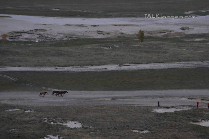 东方人,一个人,站,横图,俯视,室外,白天,旅游,度假,草原,美景,雪,植物,大雪,马,野生动物,坝上,中国,亚洲,仅一个男性,仅一个人,仅一个中年男性,奔驰,枯萎,积雪,景观,旷野,雪景,冬季,冬天,枯草,牧民,黄种人,娱乐,草,树,树木,黄色,自然,动物,奔跑,站着,享受,休闲,景色,放松,寒冷,运输,牲畜,生长,成长,自然风光,原野,三匹,东亚,中华人民共和国,华北地区,严寒,河北,河北省,冀,承德,承德市,男人,男性,中年男性,亚洲人,站立,彩图,高角度拍摄,全身,丰宁满族自治县,京北第一草原,bjzqp1