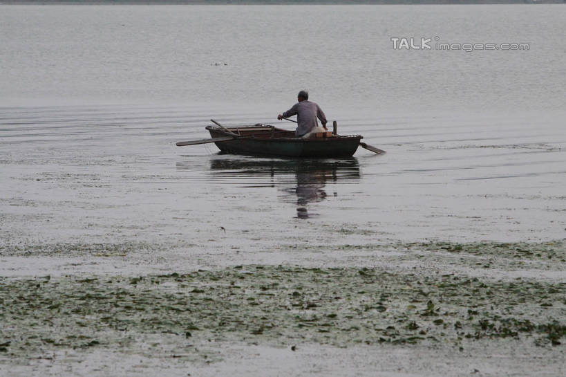 划船,东方人,一个人,渔夫,坐,横图,室外,白天,河流,水,植物,船,亚洲,仅一个男性,仅一个人,仅一个中年男性,一艘,阴影,光线,船桨,影子,河水,水流,水平线,木船,水草,浮萍,黄种人,背面,绿色,倒影,阳光,自然,交通工具,行驶,生长,成长,一望无际,波光粼粼,航行,倒映,舟,载具,无边无际,一马平川,反照,男人,男性,中年男性,亚洲人,捕鱼人,打鱼人,坐着,彩图,全身,hascy1