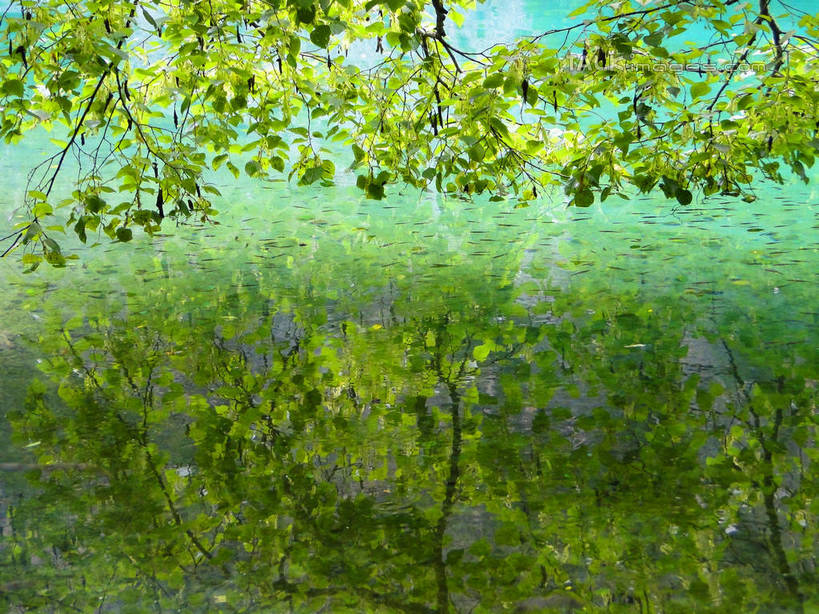 无人,横图,俯视,室外,白天,旅游,度假,河流,美景,山,山脉,树林,水,植物,九寨沟,中国,亚洲,河水,景观,山峰,水流,山峦,娱乐,树,树木,绿色,倒影,自然,群山,享受,休闲,景色,放松,四川省,生长,成长,波光粼粼,倒映,自然风光,东亚,四川,阿坝,中华人民共和国,西南地区,阿坝藏族羌族自治州,阿坝州,川,九寨沟县,反照,彩图,高角度拍摄,九寨沟风景区,四川九寨沟风景名胜区,hascy1