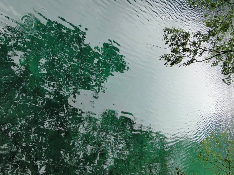 无人,横图,俯视,室外,白天,旅游,度假,河流,美景,山,山脉,树林,水,植物,九寨沟,中国,亚洲,河水,景观,山峰,水流,山峦,娱乐,树,树木,绿色,倒影,自然,群山,享受,休闲,景色,放松,四川省,生长,成长,波光粼粼,倒映,自然风光,东亚,四川,阿坝,中华人民共和国,西南地区,阿坝藏族羌族自治州,阿坝州,川,九寨沟县,反照,彩图,高角度拍摄,九寨沟风景区,四川九寨沟风景名胜区,hascy1