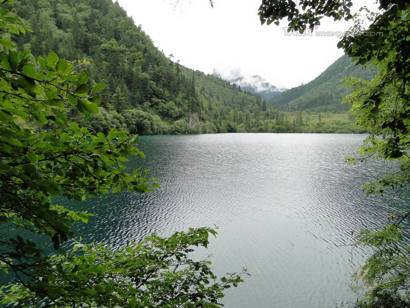 无人,横图,室外,白天,正面,旅游,度假,河流,美景,山,山脉,树林,水,植物,九寨沟,中国,亚洲,阴影,光线,影子,河水,景观,山峰,水流,山峦,娱乐,树,树木,绿色,倒影,天空,阳光,自然,群山,天,享受,休闲,景色,放松,四川省,生长,成长,波光粼粼,倒映,自然风光,东亚,四川,阿坝,中华人民共和国,西南地区,阿坝藏族羌族自治州,阿坝州,川,九寨沟县,反照,彩图,九寨沟风景区,四川九寨沟风景名胜区,hascy1