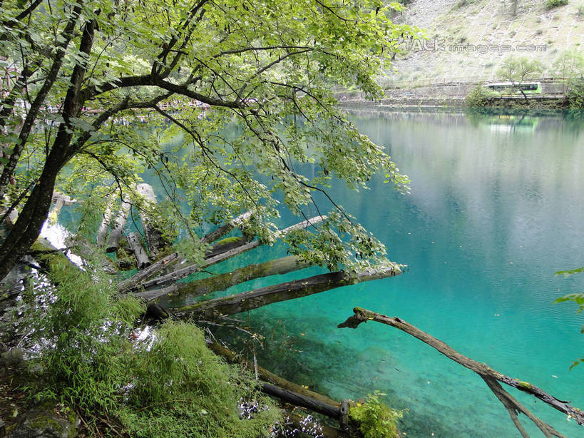 无人,横图,室外,白天,正面,旅游,度假,草地,草坪,河流,美景,山,山脉,树林,水,植物,九寨沟,中国,亚洲,河水,景观,山峰,水流,枝条,山峦,娱乐,草,树,树木,树枝,绿色,倒影,自然,群山,享受,休闲,景色,放松,四川省,生长,成长,波光粼粼,倒映,自然风光,东亚,四川,阿坝,中华人民共和国,西南地区,阿坝藏族羌族自治州,阿坝州,川,九寨沟县,反照,枝杈,彩图,九寨沟风景区,四川九寨沟风景名胜区,hascy1