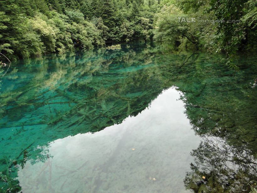 无人,横图,室外,白天,正面,旅游,度假,河流,美景,山,山脉,树林,水,植物,九寨沟,中国,亚洲,河水,景观,山峰,水流,山峦,娱乐,树,树木,绿色,倒影,自然,群山,享受,休闲,景色,放松,四川省,生长,成长,波光粼粼,倒映,自然风光,东亚,四川,阿坝,中华人民共和国,西南地区,阿坝藏族羌族自治州,阿坝州,川,九寨沟县,反照,彩图,九寨沟风景区,四川九寨沟风景名胜区,hascy1