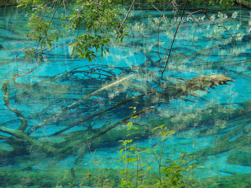 无人,横图,俯视,室外,白天,旅游,度假,河流,美景,山,山脉,树林,水,植物,九寨沟,中国,亚洲,河水,景观,山峰,水流,山峦,娱乐,树,树木,绿色,倒影,自然,群山,享受,休闲,景色,放松,四川省,生长,成长,波光粼粼,倒映,自然风光,东亚,四川,阿坝,中华人民共和国,西南地区,阿坝藏族羌族自治州,阿坝州,川,九寨沟县,反照,彩图,高角度拍摄,九寨沟风景区,四川九寨沟风景名胜区,hascy1