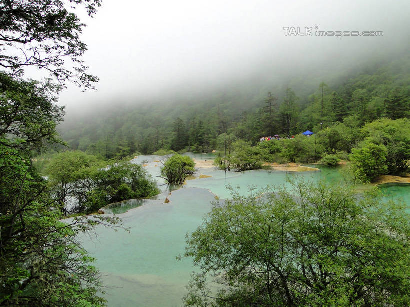 无人,横图,俯视,室外,白天,旅游,度假,美景,森林,山,山脉,树林,植物,九寨沟,中国,亚洲,清澈,景观,山峰,山峦,娱乐,树,树木,绿色,倒影,自然,群山,享受,休闲,景色,放松,四川省,生长,成长,波光粼粼,倒映,自然风光,东亚,四川,阿坝,中华人民共和国,西南地区,阿坝藏族羌族自治州,阿坝州,川,九寨沟县,五彩池,反照,彩图,高角度拍摄,九寨沟风景区,四川九寨沟风景名胜区,hascy1
