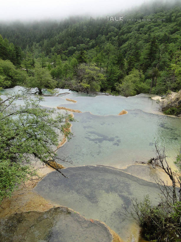 无人,竖图,俯视,室外,白天,旅游,度假,石头,美景,森林,山,山脉,树林,植物,九寨沟,中国,亚洲,清澈,景观,山峰,山峦,娱乐,树,树木,绿色,倒影,自然,群山,享受,休闲,景色,放松,四川省,生长,成长,波光粼粼,倒映,自然风光,东亚,四川,阿坝,中华人民共和国,西南地区,阿坝藏族羌族自治州,阿坝州,川,九寨沟县,五彩池,反照,岩石,彩图,高角度拍摄,九寨沟风景区,四川九寨沟风景名胜区,hascy1