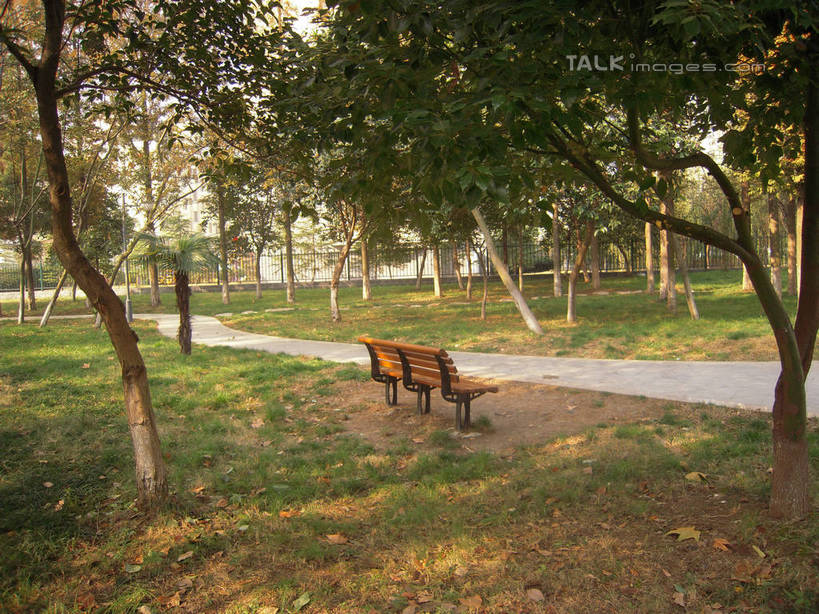 无人,公园,横图,室外,白天,正面,旅游,度假,草地,草坪,美景,树林,植物,道路,路,椅子,阴影,光线,影子,长椅,木椅,景观,泥土,土壤,小路,地面,交通,娱乐,草,树,树木,红色,绿色,阳光,自然,享受,休闲,景色,放松,生长,成长,自然风光,延伸,排椅,彩图,hascy1