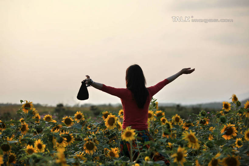 东方人,一个人,站,伸展双臂,横图,室外,白天,爱情,旅游,度假,幸福,花海,花圃,美景,太阳,植物,向日葵,叶子,亚洲,仅一个年轻女性,仅一个女性,仅一个人,许多,阴影,盛开,光线,影子,景观,云,云朵,花蕾,云彩,黄种人,娱乐,手袋,花,花瓣,花朵,花卉,鲜花,背面,黄色,蓝色,绿色,白云,蓝天,天空,阳光,自然,花丛,花束,花田,天,花苞,花蕊,站着,享受,休闲,景色,放松,晴朗,自然风光,光辉,沉默,忠诚,勇敢,投缘,爱慕,高傲,朝阳花,葵花,望日莲,向阳花,转日莲,年轻女性,女人,女性,亚洲人,晴空,敞开双臂,伸开双臂,展开双肩,站立,张开手臂,张开双臂,半身,彩图,rzwdb1