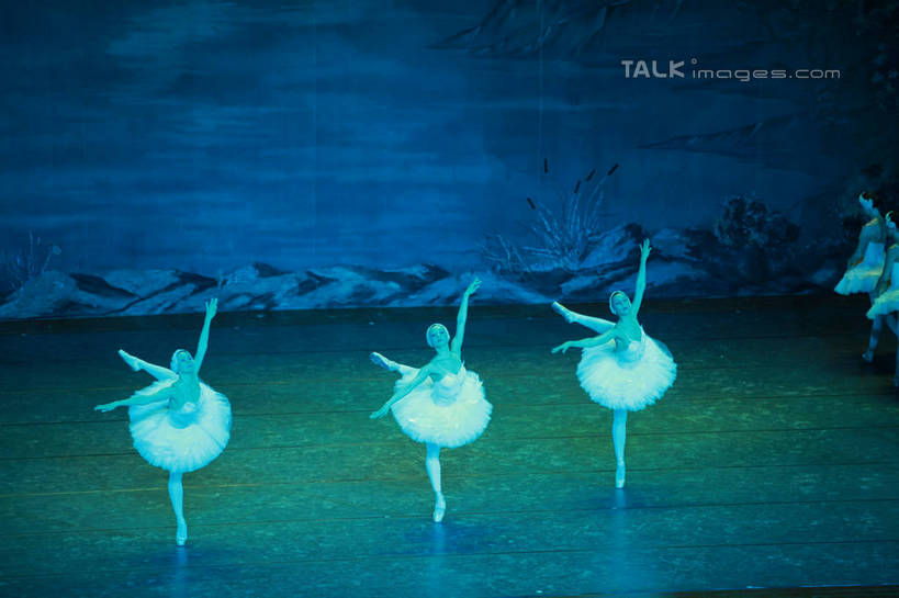 西方人,舞台,站,伸展双臂,横图,俯视,室内,白天,背景,裙子,跳舞,芭蕾,欧洲,欧洲人,五个人,一排,表演,阴影,整齐,光线,影子,灯光,许多人,扮演,排列,站着,一群人,短裙,帷幕,踮脚,演出,队列,帷幔,幕布,舞姿,幕帘,芭蕾舞裙,芭蕾裙,帷幔布,天鹅湖,芭蕾舞,年轻女性,女人,女性,白种人,表演台,敞开双臂,伸开双臂,展开双肩,站立,张开手臂,张开双臂,布景,彩图,高角度拍摄,全身,舞蹈,rzwdb1