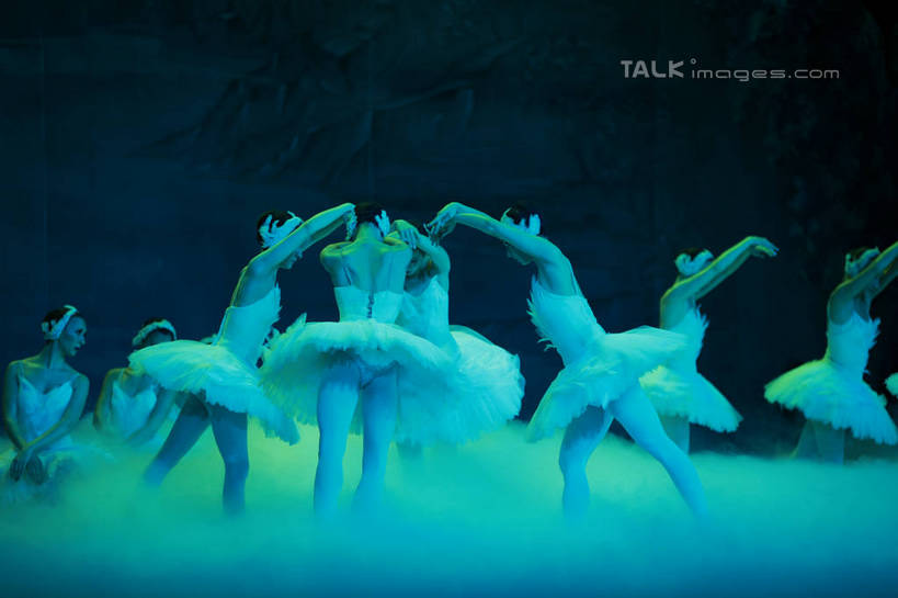 西方人,背部,舞台,站,伸展双臂,横图,室内,白天,背景,正面,裙子,跳舞,芭蕾,欧洲,欧洲人,表演,阴影,光线,影子,灯光,许多人,扮演,站着,一群人,短裙,帷幕,踮脚,演出,帷幔,幕布,舞姿,幕帘,芭蕾舞裙,芭蕾裙,帷幔布,天鹅湖,芭蕾舞,年轻女性,女人,女性,白种人,表演台,敞开双臂,伸开双臂,展开双肩,站立,张开手臂,张开双臂,布景,彩图,全身,舞蹈,rzwdb1