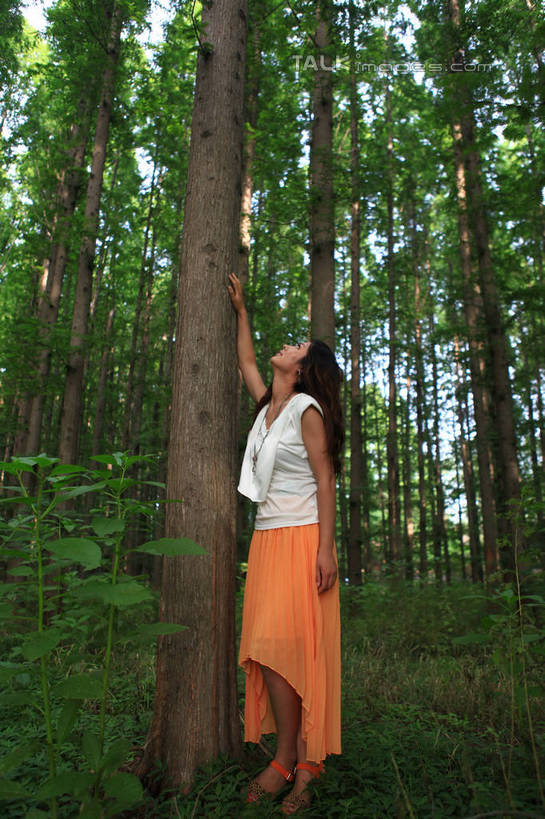 东方人,一个人,站,举,笑,微笑,露齿笑,竖图,室外,白天,仰视,裙子,T恤衫,旅游,度假,草地,草坪,美景,树林,植物,项链,中国,亚洲,仅一个年轻女性,仅一个女性,仅一个人,阴影,朦胧,模糊,光线,影子,景观,T恤,注视,黄种人,娱乐,长裙,山东,装饰品,草,树,树木,绿色,白色,阳光,自然,饰品,首饰,观察,看,靠,靠着,托,倚靠,站着,享受,休闲,橙色,景色,放松,生长,成长,观看,半身裙,察看,倚着,关注,自然风光,东亚,山东省,日照,中华人民共和国,华东地区,鲁,日照市,鲁南海滨国家森林公园,年轻女性,女人,女性,亚洲人,长发,卷发,举起,举手,举着,向上举,向上伸,向上托,站立,彩图,低角度拍摄,全身,rzwdb1