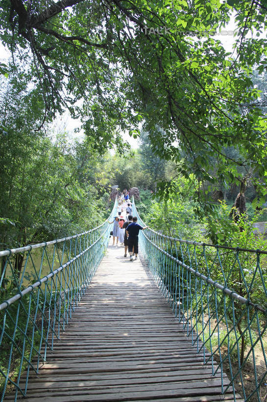 东方人,栏杆,走,竖图,室外,白天,旅游,度假,美景,树林,植物,地板,中国,亚洲,游客,游人,阴影,光线,木板,影子,景观,围栏,桥,地面,木桥,许多人,黄种人,娱乐,山东,护栏,木地板,栈桥,树,树木,背面,绿色,天空,阳光,自然,天,扶,一群人,享受,休闲,景色,放松,生长,成长,人行桥,木板桥,扶着,自然风光,东亚,山东省,日照,中华人民共和国,华东地区,鲁,日照市,男人,男性,年轻男性,年轻女性,女人,女性,亚洲人,步行,散步,走路,彩图,全身,竹洞天风景区,rzwdb1