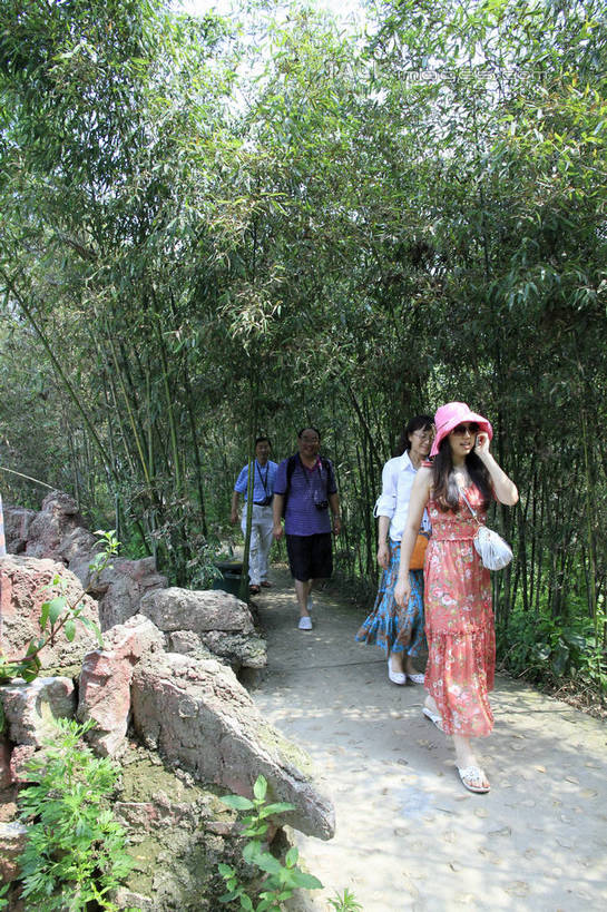 东方人,走,竖图,室外,白天,正面,裙子,旅游,度假,纯洁,石头,美景,树林,植物,竹子,中国,亚洲,游客,游人,阴影,连衣裙,服装,光线,墨镜,石子,眼镜,影子,景观,竹林,地面,许多人,注视,休闲装,黄种人,娱乐,山东,树,树木,衣服,绿色,天空,阳光,自然,太阳镜,太阳眼镜,天,观察,看,一群人,享受,休闲,休闲服,遮阳镜,景色,放松,服饰,生长,成长,观看,察看,高雅,关注,自然风光,东亚,山东省,日照,中华人民共和国,华东地区,奉献,鲁,质朴,正直,日照市,担当,男人,男性,年轻男性,年轻女性,女人,女性,亚洲人,石块,岩石,竹,步行,散步,走路,彩图,全身,奋进,操守,四君子,岁寒三友,性坚,虚怀,虚心,竹洞天风景区,善群,卓尔,rzwdb1