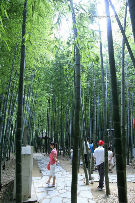 东方人,走,竖图,室外,白天,侧面,旅游,度假,纯洁,石头,美景,树林,植物,竹子,中国,亚洲,游客,游人,阴影,服装,光线,石子,影子,景观,竹林,地面,许多人,注视,休闲装,黄种人,娱乐,山东,树,树木,衣服,绿色,天空,阳光,自然,天,观察,看,一群人,享受,休闲,休闲服,景色,放松,服饰,生长,成长,观看,察看,高雅,关注,自然风光,东亚,山东省,日照,中华人民共和国,华东地区,奉献,鲁,质朴,正直,日照市,担当,男人,男性,年轻男性,年轻女性,女人,女性,亚洲人,石块,岩石,竹,步行,散步,走路,彩图,全身,奋进,操守,四君子,岁寒三友,性坚,虚怀,虚心,竹洞天风景区,善群,卓尔,rzwdb1