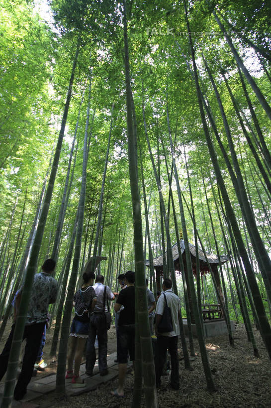 东方人,四个人,家,走,竖图,室外,白天,旅游,度假,纯洁,美景,树林,植物,道路,路,竹子,中国,亚洲,游客,游人,阴影,光线,影子,房屋,亭子,屋子,草屋,景观,竹林,小路,地面,交通,黄种人,娱乐,山东,住宅,树,树木,背面,绿色,天空,阳光,自然,凉亭,茅草屋,天,享受,休闲,景色,放松,生长,成长,高雅,自然风光,东亚,山东省,日照,中华人民共和国,华东地区,奉献,鲁,质朴,正直,日照市,担当,男人,男性,年轻男性,年轻女性,女人,女性,亚洲人,竹,步行,散步,走路,彩图,全身,房子,茅舍,茅屋,小屋,奋进,操守,四君子,岁寒三友,性坚,虚怀,虚心,竹洞天风景区,善群,卓尔,rzwdb1