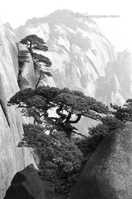 无人,竖图,黑白,室外,白天,正面,旅游,度假,石头,美景,山,山脉,植物,天柱山,中国,亚洲,石子,景观,山峰,山峦,娱乐,树,树木,自然,群山,享受,休闲,景色,放松,生长,成长,自然风光,东亚,安徽,安徽省,安庆,安庆市,中华人民共和国,华东地区,皖,石块,岩石,古皖国,潜山县,皖山,shcm1