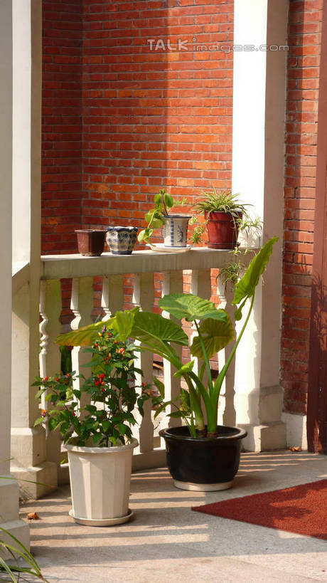 无人,家,栏杆,横图,室外,白天,正面,度假,美景,植物,城市风光,城市,上海,中国,亚洲,阴影,光线,盆栽,影子,房屋,墙,屋子,景观,围栏,盆景,娱乐,护栏,楼房,墙壁,墙面,住宅,绿色,阳光,自然,享受,休闲,景色,放松,生长,成长,申,东亚,岳阳路,徐汇区,上海市,中华人民共和国,沪,华东地区,彩图,房子,shcm1