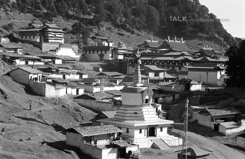 无人,家,横图,俯视,黑白,室外,白天,旅游,度假,名胜古迹,植物,标志建筑,地标,建筑,中国,亚洲,阴影,遗迹,光线,影子,房屋,屋子,古迹,文物,娱乐,建设,古建筑,楼房,住宅,树,树木,阳光,自然,享受,休闲,旅游胜地,放松,生长,成长,古文明,东亚,甘肃,甘肃省,碌曲县,郎木寺,郎木寺镇,中华人民共和国,西北地区,甘,郎木寺乡,高角度拍摄,房子,shcm1