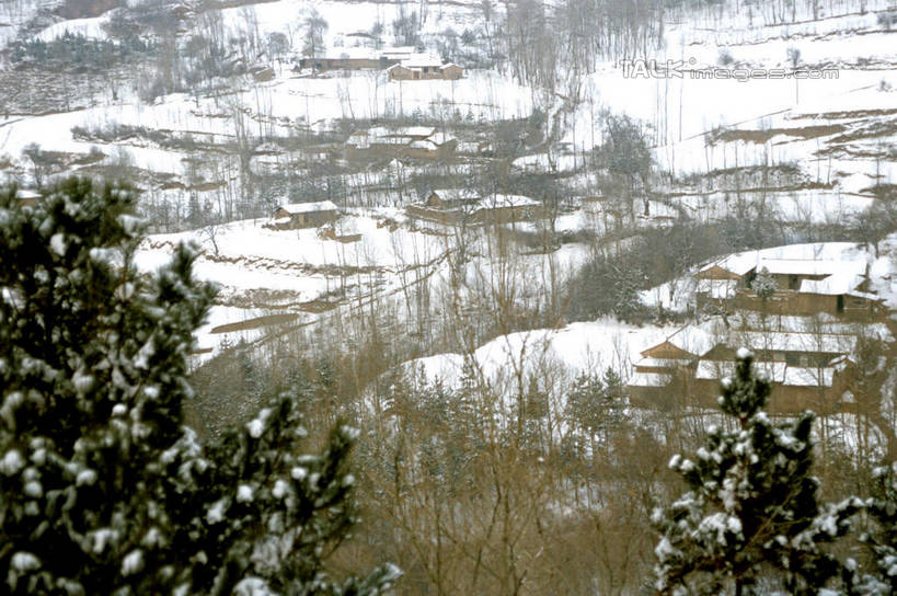 无人,横图,俯视,室外,白天,旅游,度假,草地,草坪,美景,山,雪,雪山,植物,大雪,中国,亚洲,冰,积雪,景观,山峰,雪景,冬季,冬天,山峦,娱乐,草,树,树木,绿色,自然,享受,休闲,景色,放松,寒冷,生长,成长,冰冷,自然风光,东亚,甘肃,甘肃省,夏河县,中华人民共和国,严寒,冰凉,酷寒,凛冽,凛凛,极冷,西北地区,甘,夏河,彩图,高角度拍摄,shcm1