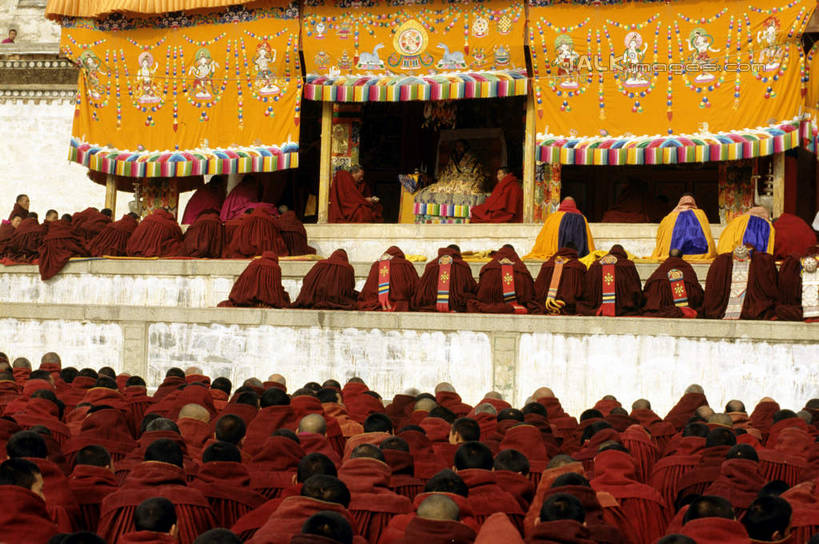 东方人,和尚,寺庙,坐,横图,室外,白天,正面,民族服装,旅游,度假,名胜古迹,标志建筑,地标,建筑,中国,亚洲,服装,节日,遗迹,许多人,燃烧,黄种人,古迹,文化,文物,娱乐,建设,古建筑,衣服,香火,庙宇,祈祷,一群人,享受,休闲,健康,旅游胜地,放松,许愿,宗教,服饰,信仰,纪念,祈求,衣着,穿着,古文明,东亚,甘肃,甘肃省,夏河县,拉卜楞寺,中华人民共和国,西北地区,甘,衣饰,夏河,平安,男人,男性,年轻男性,中年男性,亚洲人,比丘,高僧,僧,僧侣,僧人,沙弥,修行僧,坐着,半身,彩图,传统服装,民俗服,庙,寺,shcm1