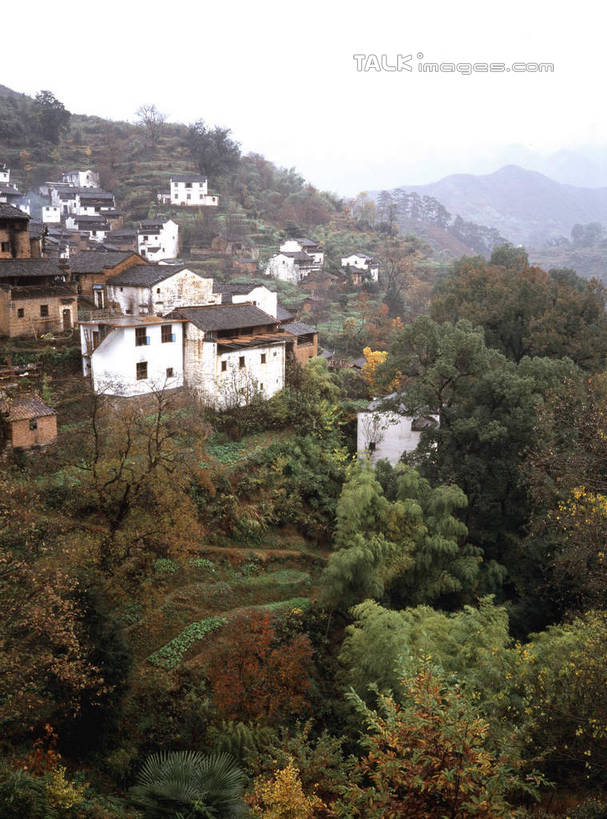 无人,家,竖图,俯视,室外,白天,旅游,度假,美景,森林,山,山脉,树林,植物,中国,亚洲,房屋,屋子,景观,山峰,山峦,娱乐,江西,婺源,楼房,住宅,树,树木,绿色,天空,自然,群山,天,享受,休闲,景色,放松,生长,成长,自然风光,东亚,江西省,中华人民共和国,华东地区,赣,婺源县,上饶,上饶市,彩图,高角度拍摄,房子,shcm1