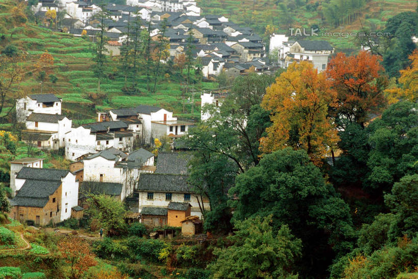 无人,家,横图,俯视,室外,白天,旅游,度假,美景,植物,建筑,中国,亚洲,瓦片,房屋,屋顶,屋子,景观,顶棚,瓦,娱乐,江西,婺源,楼房,住宅,树,树木,绿色,自然,享受,休闲,景色,放松,建造,生长,成长,自然风光,东亚,屋瓦,江西省,中华人民共和国,华东地区,赣,婺源县,上饶,上饶市,彩图,高角度拍摄,房子,shcm1