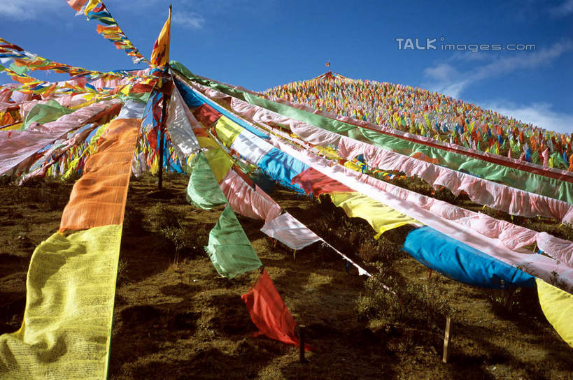 无人,横图,室外,白天,仰视,旅游,度假,石头,美景,山,山脉,植物,旗帜,中国,亚洲,阴影,枯萎,光线,石子,影子,景观,山峰,云,云朵,枯草,山峦,云彩,娱乐,旗子,经幡,草,黄色,蓝色,白云,蓝天,天空,阳光,自然,群山,天,享受,休闲,景色,放松,晴朗,自然风光,东亚,青海,青海省,久治县,风马旗,中华人民共和国,旌旗,旗号,西北地区,青,果洛,果洛州,果洛藏族自治州,石块,岩石,晴空,彩图,低角度拍摄,shcm1