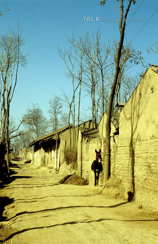 无人,家,竖图,室外,白天,正面,旅游,度假,美景,植物,中国,亚洲,阴影,光线,影子,房屋,墙,屋子,景观,娱乐,楼房,墙壁,墙面,住宅,树,树木,蓝色,绿色,蓝天,天空,阳光,自然,天,享受,休闲,景色,放松,生长,晴朗,成长,自然风光,东亚,陕西,陕西省,陇县,宝鸡市,万里无云,中华人民共和国,西北地区,陕,宝鸡,晴空,晴空万里,彩图,房子,shcm1