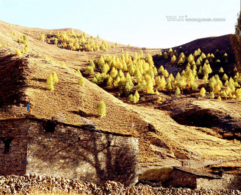 无人,家,木屋,横图,室外,白天,正面,旅游,度假,石头,美景,山,山脉,植物,中国,亚洲,阴影,光线,石子,影子,景观,山峰,山峦,娱乐,住宅,树,树木,绿色,天空,阳光,自然,群山,天,享受,休闲,景色,放松,四川省,生长,成长,自然风光,东亚,四川,稻城,甘孜藏族自治州,中华人民共和国,西南地区,川,甘孜,甘孜州,石块,岩石,彩图,茅舍,茅屋,棚屋,小木屋,小屋,稻城县,shcm1
