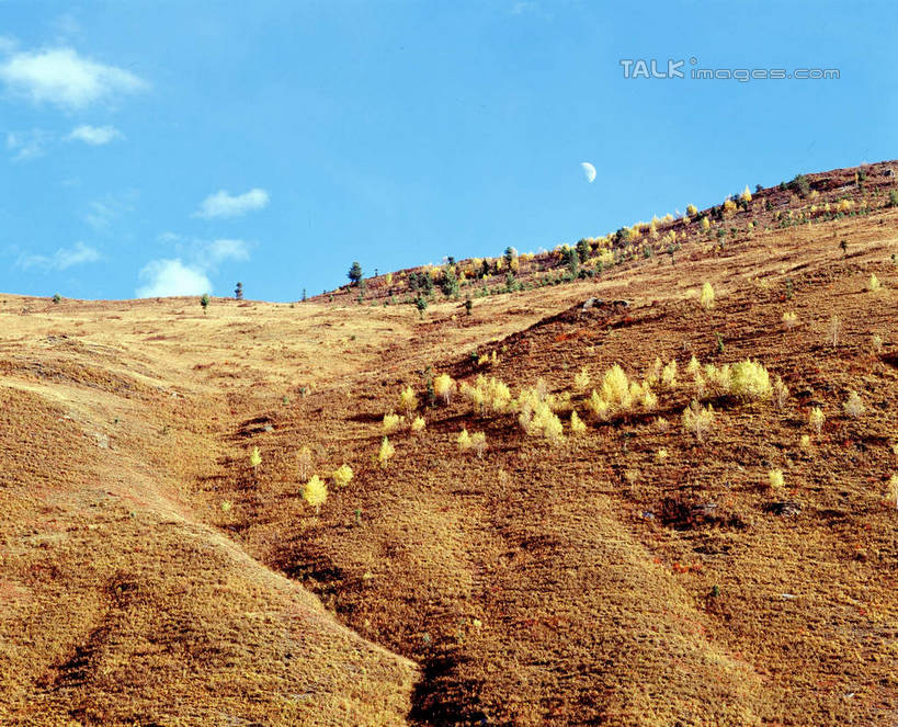 无人,横图,室外,白天,正面,旅游,度假,石头,美景,山,山脉,植物,中国,亚洲,阴影,光线,石子,影子,景观,山峰,云,云朵,山峦,云彩,娱乐,树,树木,蓝色,绿色,白云,蓝天,天空,阳光,自然,群山,天,享受,休闲,景色,放松,四川省,生长,晴朗,成长,自然风光,东亚,四川,康定,甘孜藏族自治州,康定县,新都桥,中华人民共和国,西南地区,川,甘孜,甘孜州,石块,岩石,晴空,彩图,新都桥镇,shcm1