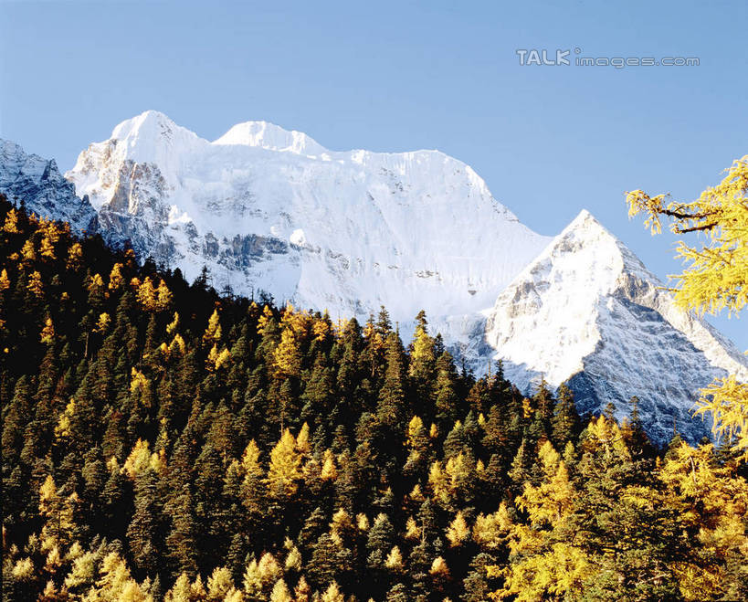 无人,横图,室外,白天,正面,旅游,度假,石头,美景,森林,山,树林,雪,雪山,植物,大雪,中国,亚洲,阴影,光线,石子,影子,冰,积雪,景观,山峰,雪景,冬季,冬天,山峦,娱乐,树,树木,蓝色,绿色,蓝天,天空,阳光,自然,天,享受,休闲,景色,放松,寒冷,四川省,生长,晴朗,成长,冰冷,自然风光,东亚,四川,稻城,亚丁,甘孜藏族自治州,万里无云,中华人民共和国,西南地区,严寒,川,甘孜,甘孜州,冰凉,酷寒,凛冽,凛凛,极冷,石块,岩石,晴空,晴空万里,彩图,稻城三神山,稻城县,稻城亚丁,念青贡嘎日松贡布,三神山,仙乃日,仙乃日神山,仙乃日雪山,亚丁风景区,shcm1